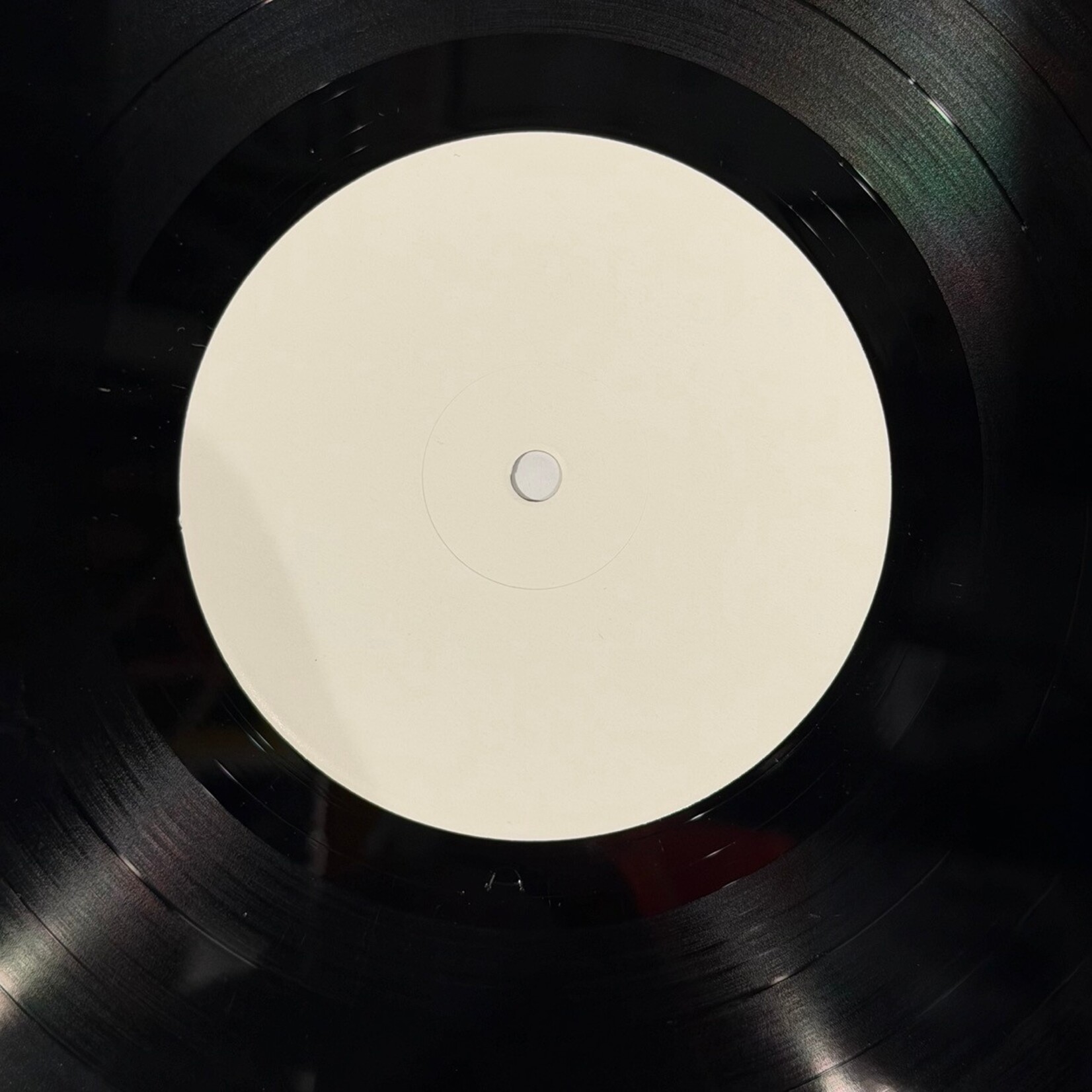 [Nick's Disk Pics] Young, Neil: Live at Capannelle (1982, Neil Live In Rome, VG+)