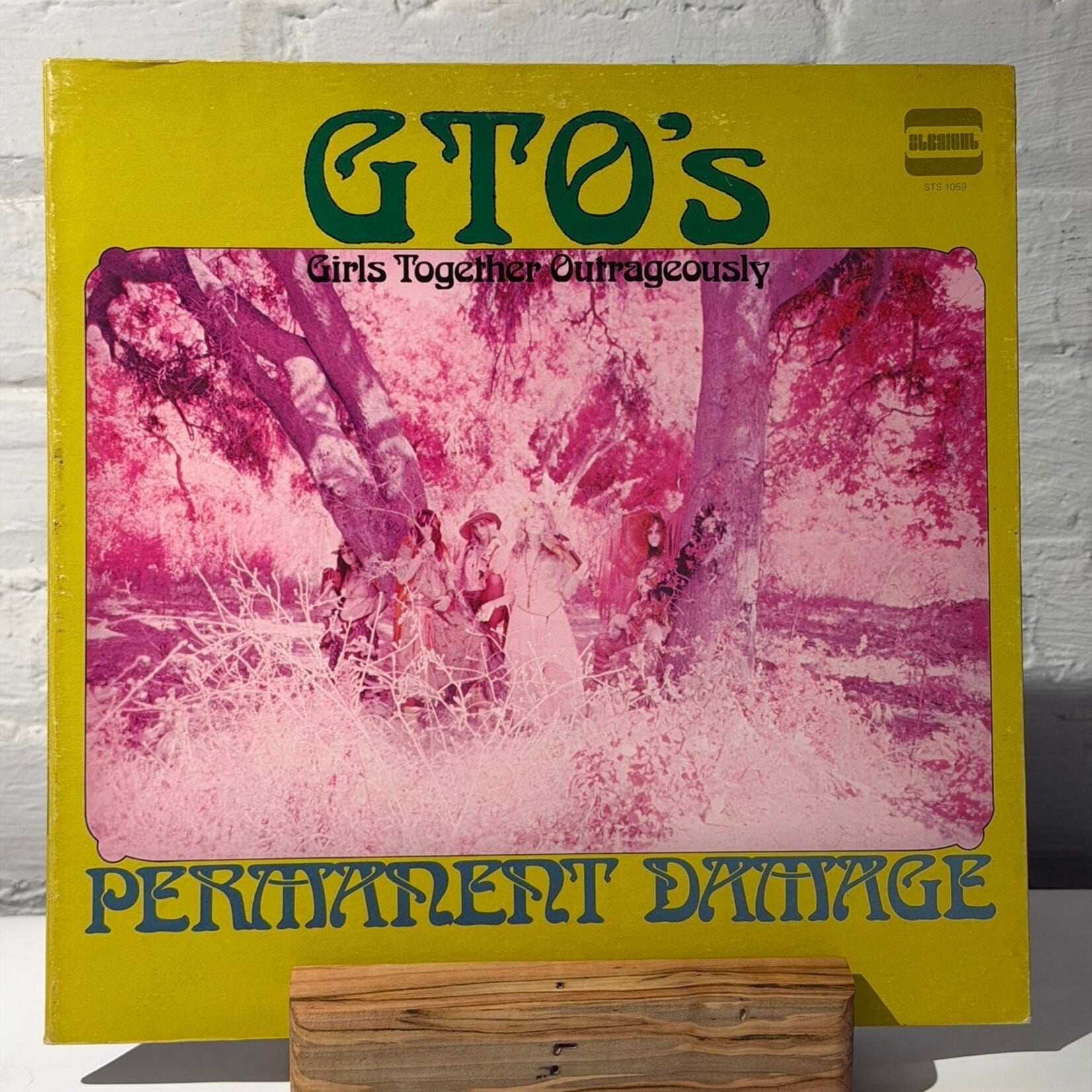 [Nick's Disk Pics] Girls Together Outrageously (GTO's): Permanent Damage (1969, CANADA, Zappa Production of Groupies, VG+) [STRAIGHT]