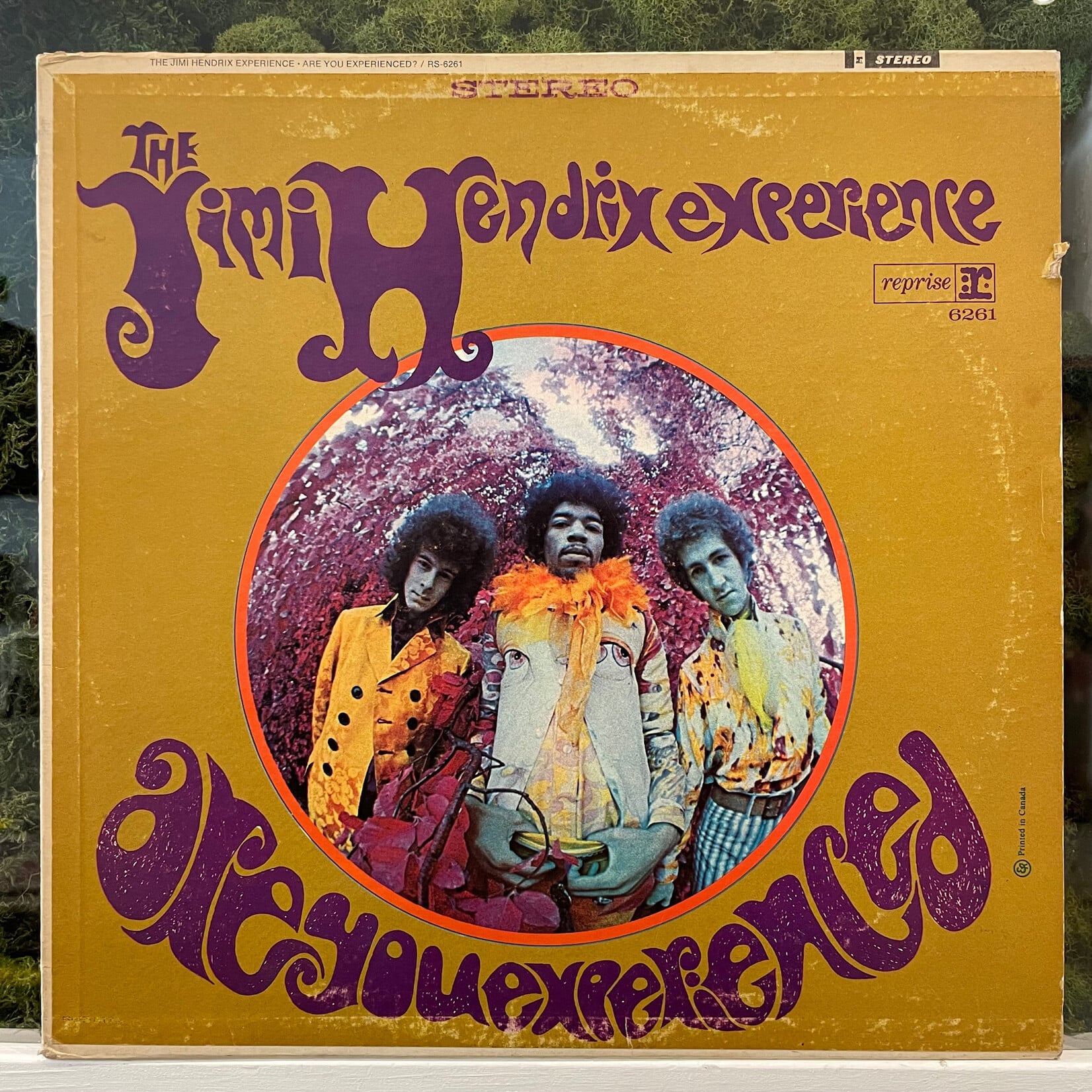 [Kollectible Vinyl] Jimi Hendrix Experience: Are You Experienced? (1967, Canada, Tricolour, VG) [REPRISE]