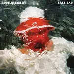 [New Vinyl] Pale Jay: Bewilderment (seafoam green vinyl) [KARMA CHIEF]