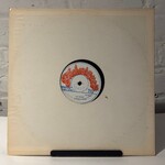 [Nick's Disk Pics] Andy, Horace: Stop Doing Wrong (Jamaica, 12" 45rpm, VG) [TECHNIQUES]