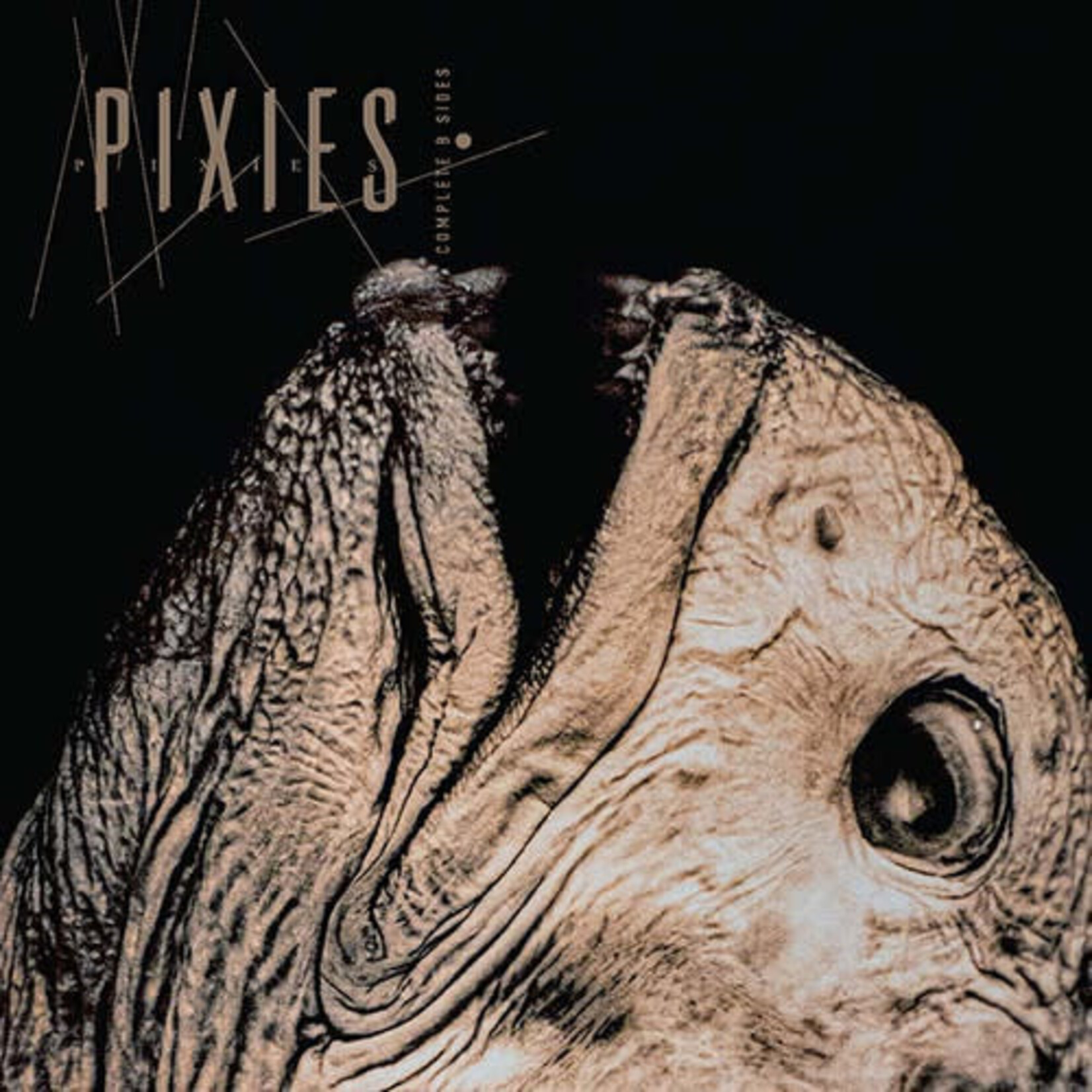[New Vinyl] Pixies: Complete B Sides: 1988-97 (2LP, Indie Exclusive, Clear Vinyl) [4AD]