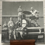 [Kollectible Vinyl] Mummies: Never Been Caught (2016, White Wax, Garage/Psych, VG+) [TELSTAR]