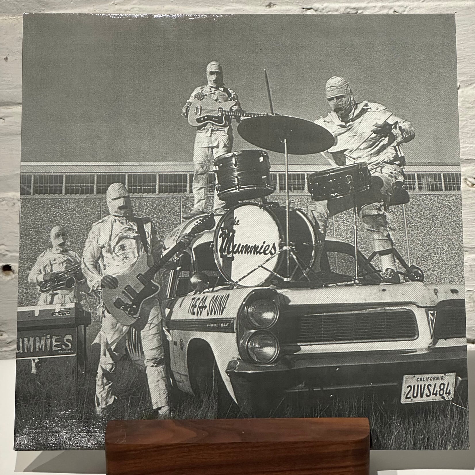 [Kollectible Vinyl] Mummies: Never Been Caught (2016, White Wax, Garage/Psych, VG+) [TELSTAR]