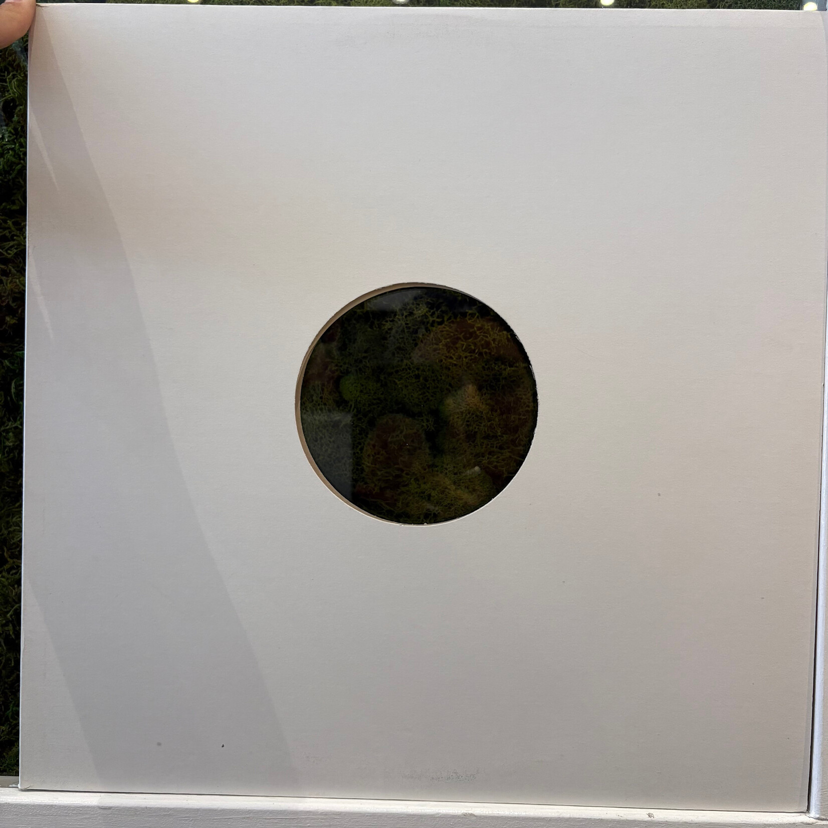 [Nick's Disk Pics] Rush: New World Man (12", 1982, Canada, Promo, VG+) [ANTHEM]