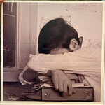 [Nick's Disk Pics] Metz: Self-titled (2012, USA, EX) [SUB POP]