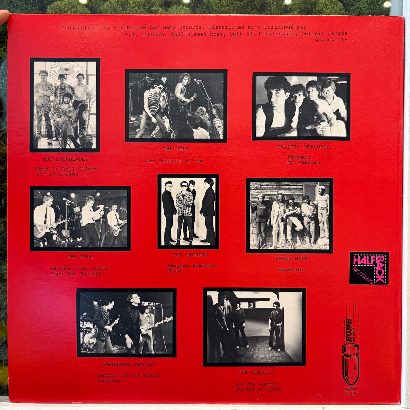 [Nick's Disk Pics] Various: And Now Live From Toronto... The Last Pogo (1979, Canada, VG+) [BOMB]