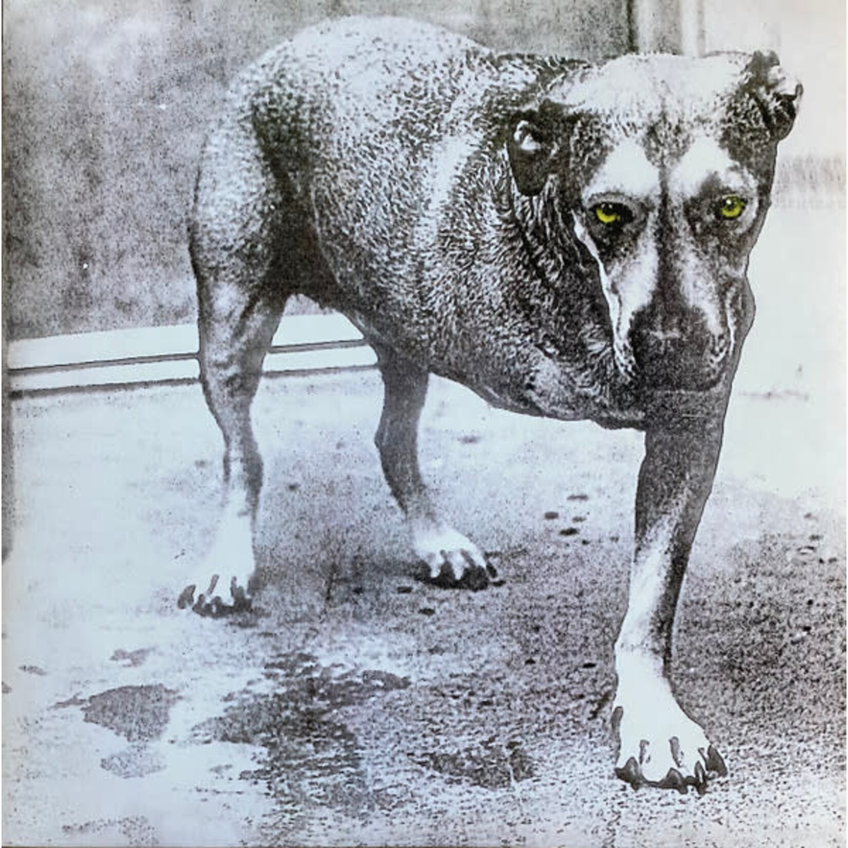 [Kollectible Vinyl] Alice in Chains: Self-Titled (EU, 2LP-White Bootleg, Grunge, NM) [COLUMBIA]