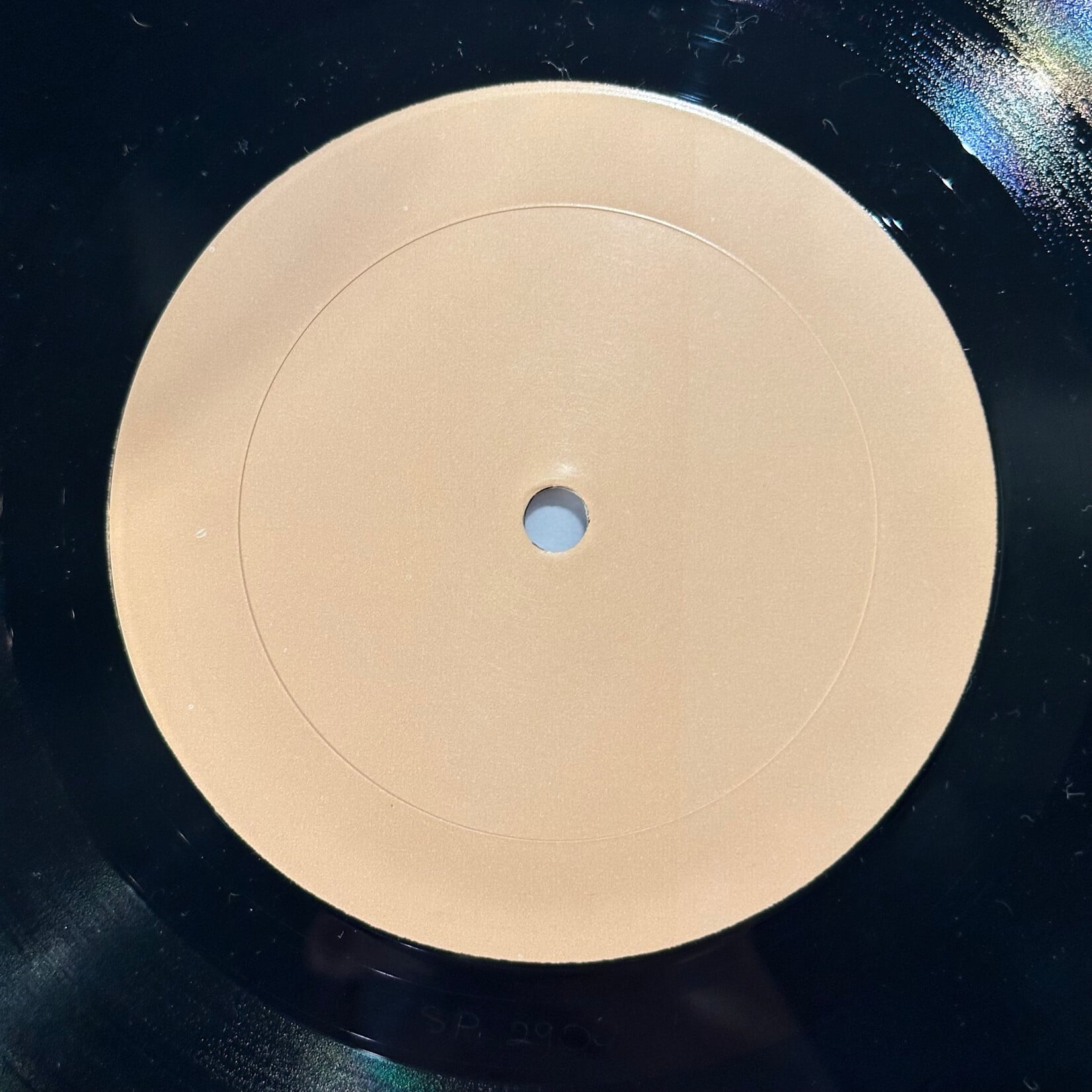 [Kollectible Vinyl] Sex Pistols: Gun Control (Sex Pistols Live, VG+) [WINTERLAND]