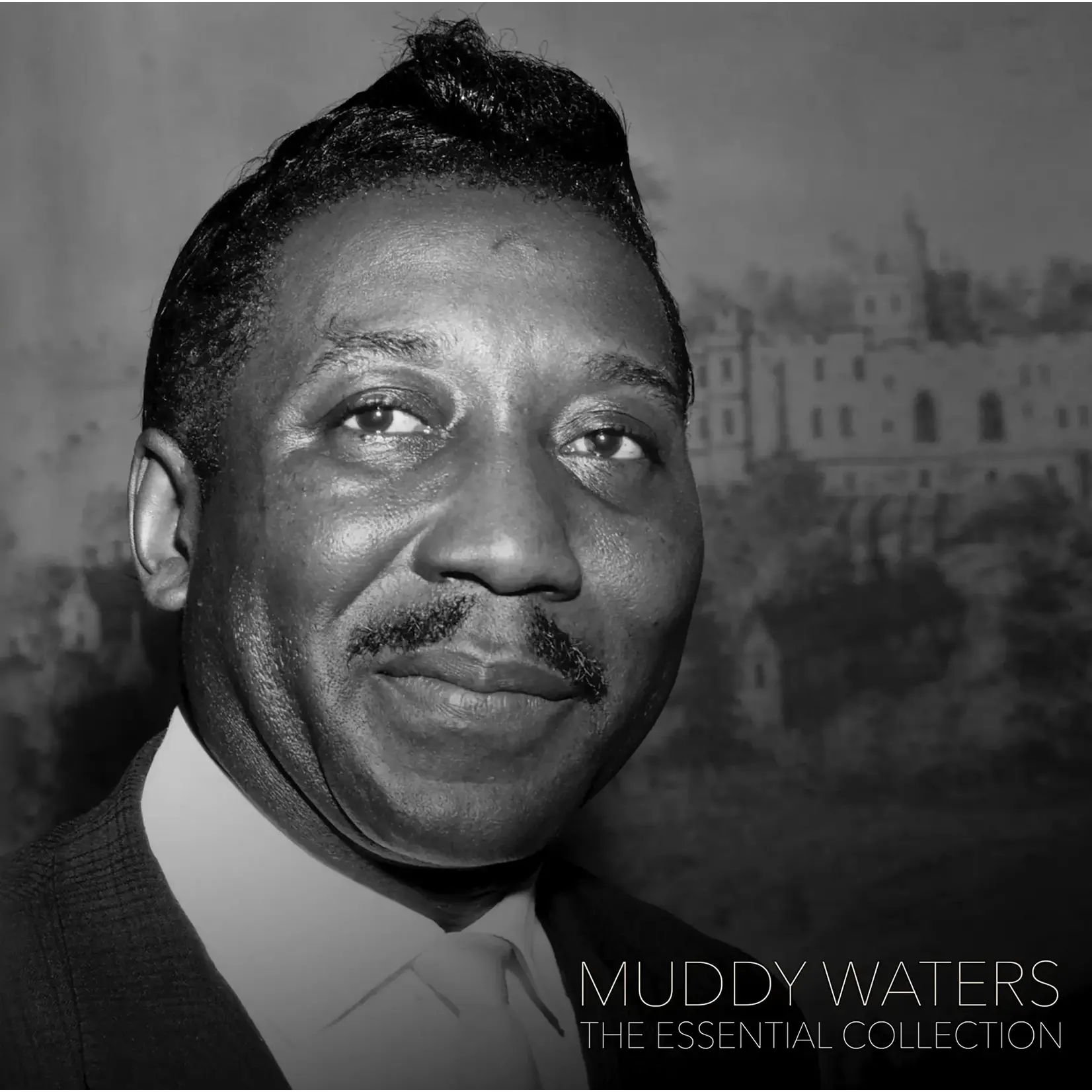 [New Vinyl] Waters, Muddy: The Essential Collection [THE ART OF VINYL]