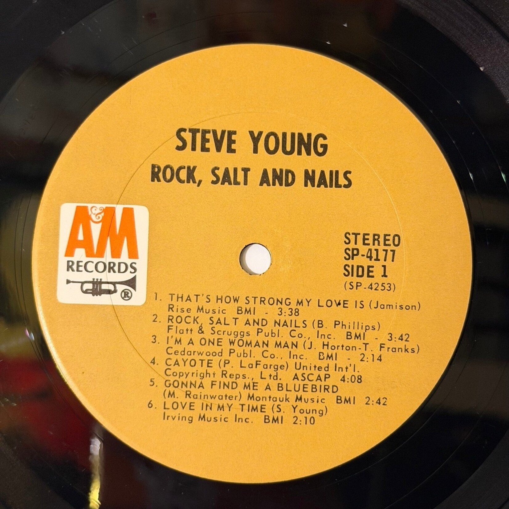 [Kollectible Vinyl] Young, Steve: Rock Salt & Nails (1969, USA, Disc VG+) [A&M]