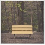 [New Vinyl] Streetlight Manifesto: The Hands That Thieve (clear vinyl) [PENTIMENTO]