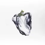 [New Vinyl] Ween: White Pepper (Green Vinyl) [Warner]