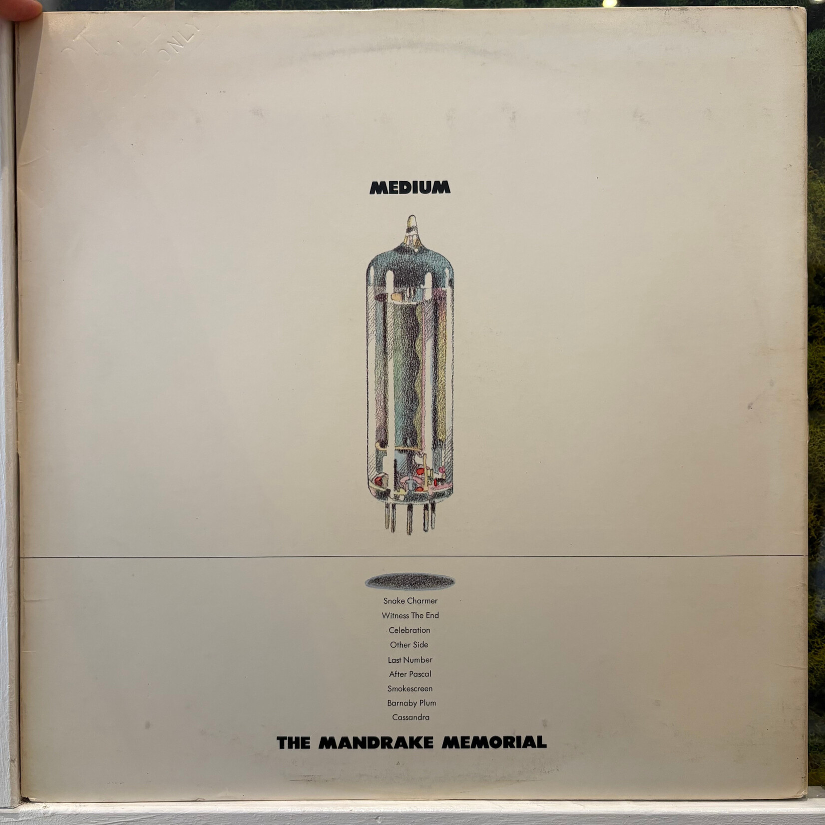 [Kollectible Vinyl] Mandrake Memorial: Medium (Promo Stamp, 1968, USA, VG+) [POPPY]