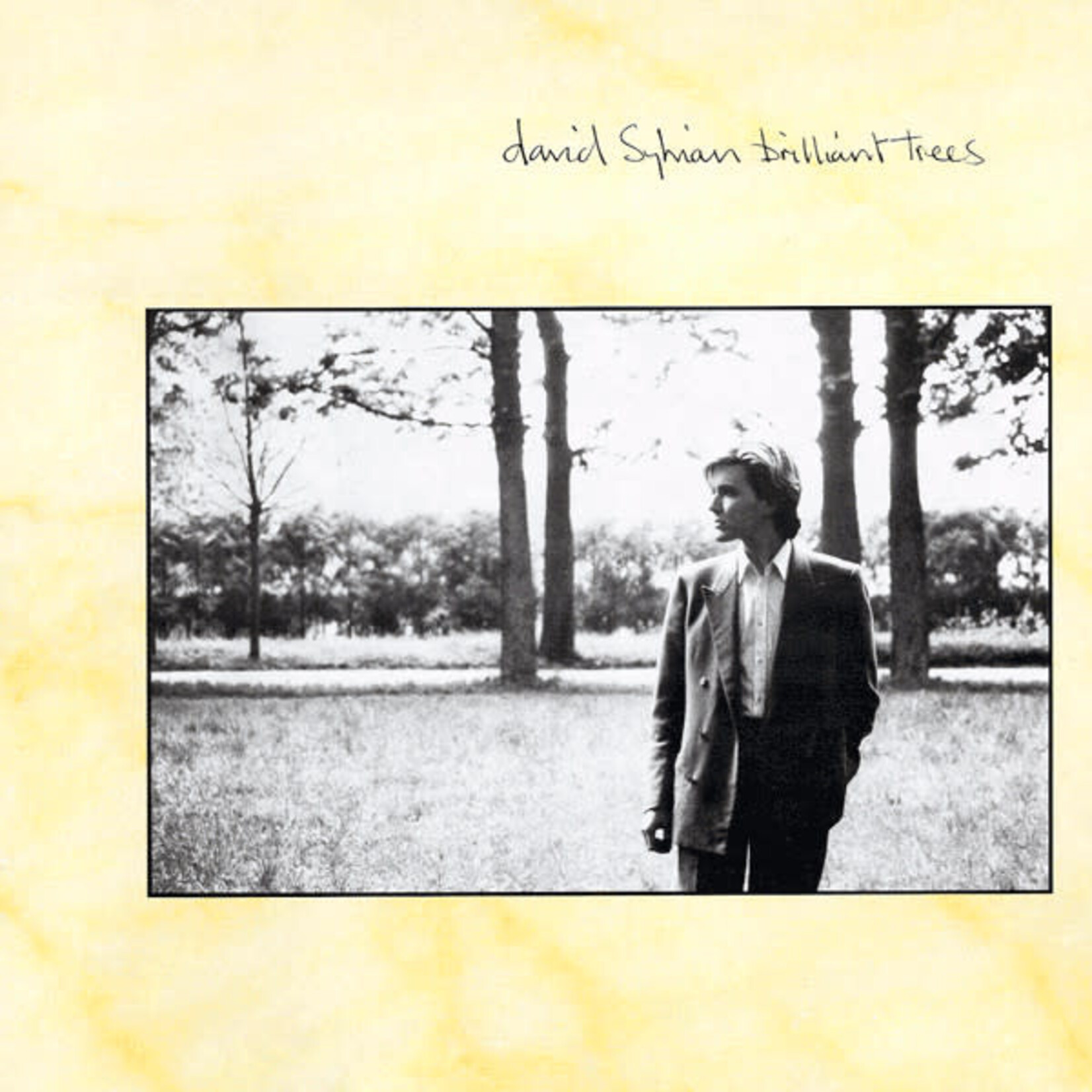 Sylvian, David (Japan): Brilliant Trees [VINTAGE]