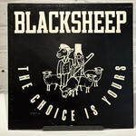 [Nick's Disk Pics] Black Sheep: The Choice Is Yours (1990s, Japan, 12", VG+) [MERCURY]