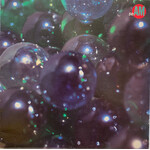 [Kollectible Vinyl] SEAM: The Problem With Me (1993, USA, VG+) [TOUCH GO]