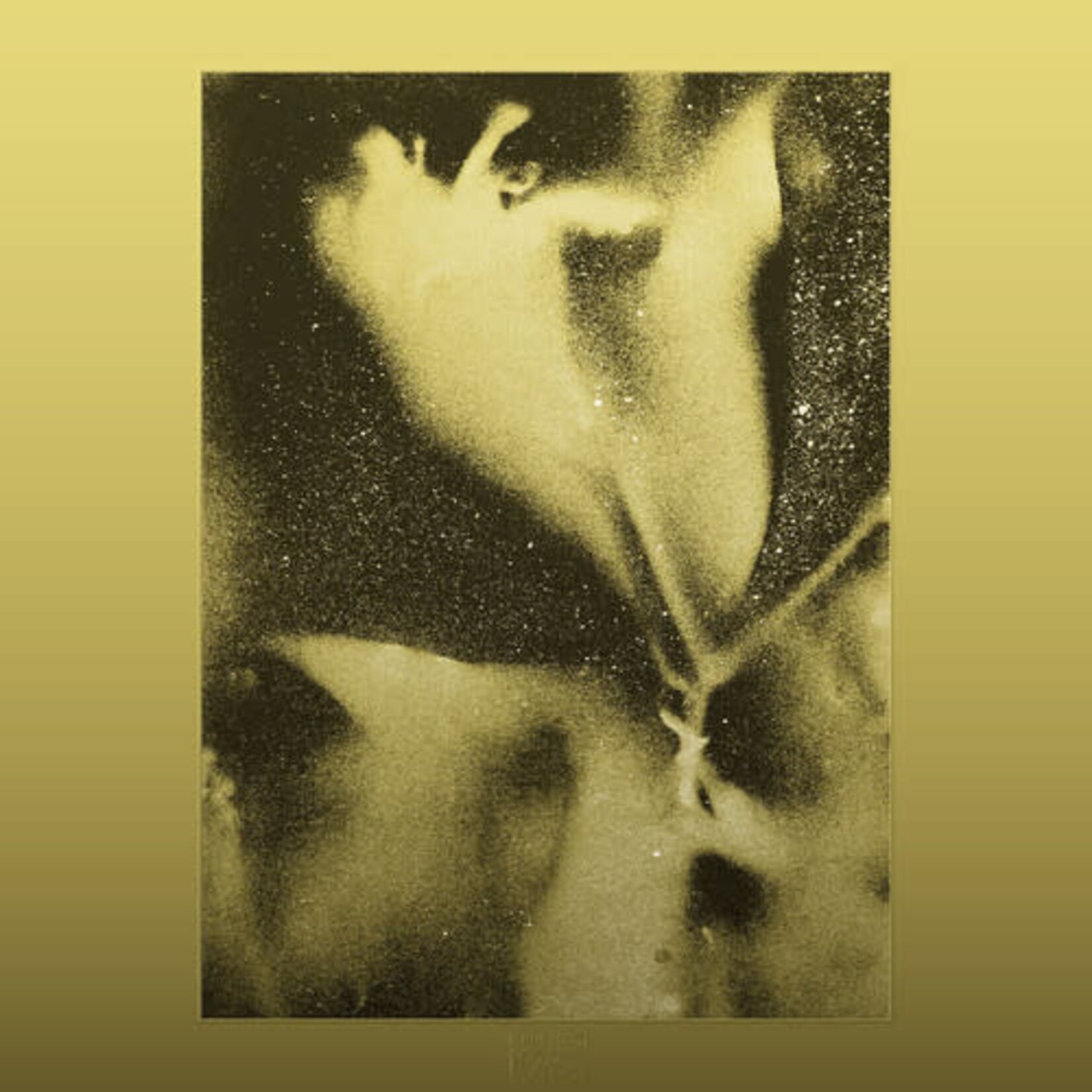 [New Vinyl] Flying Lotus: 1983 [BRAINFEEDER]