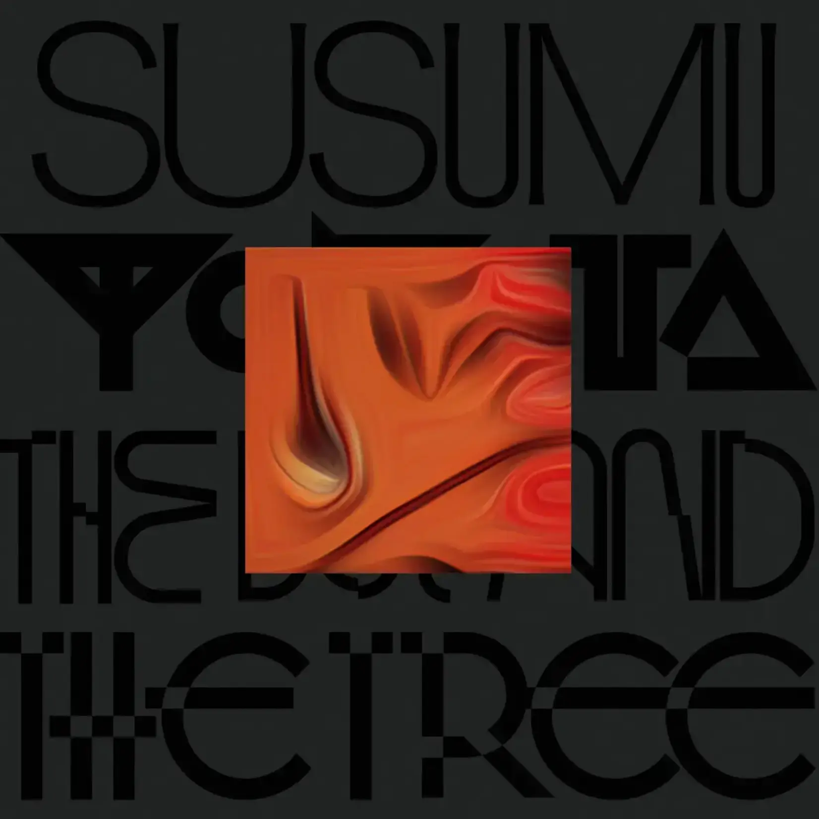 [New Vinyl] Yokota, Susumu: The Boy And The Tree (Skintone edition) (2LP-orange vinyl) [LO RECORDINGS]