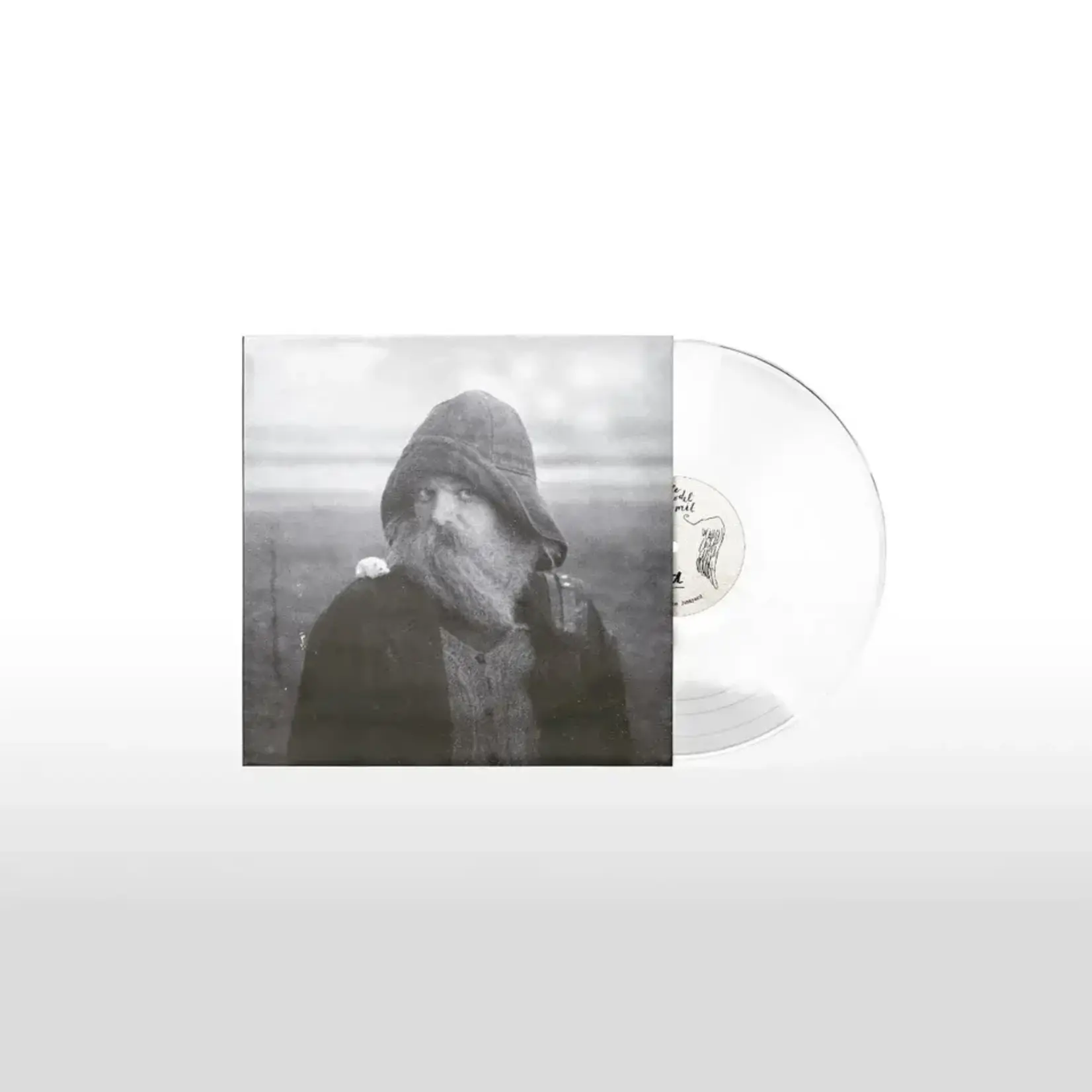 Mary in the Junkyard: Role Model Hermit (transparent clear vinyl-indie exclusive) [AMF]