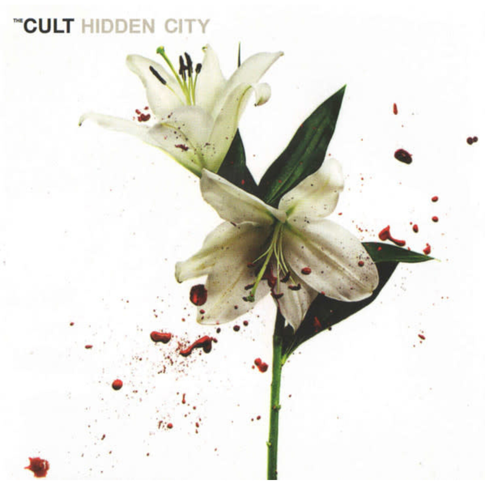 The Cult - Hidden City