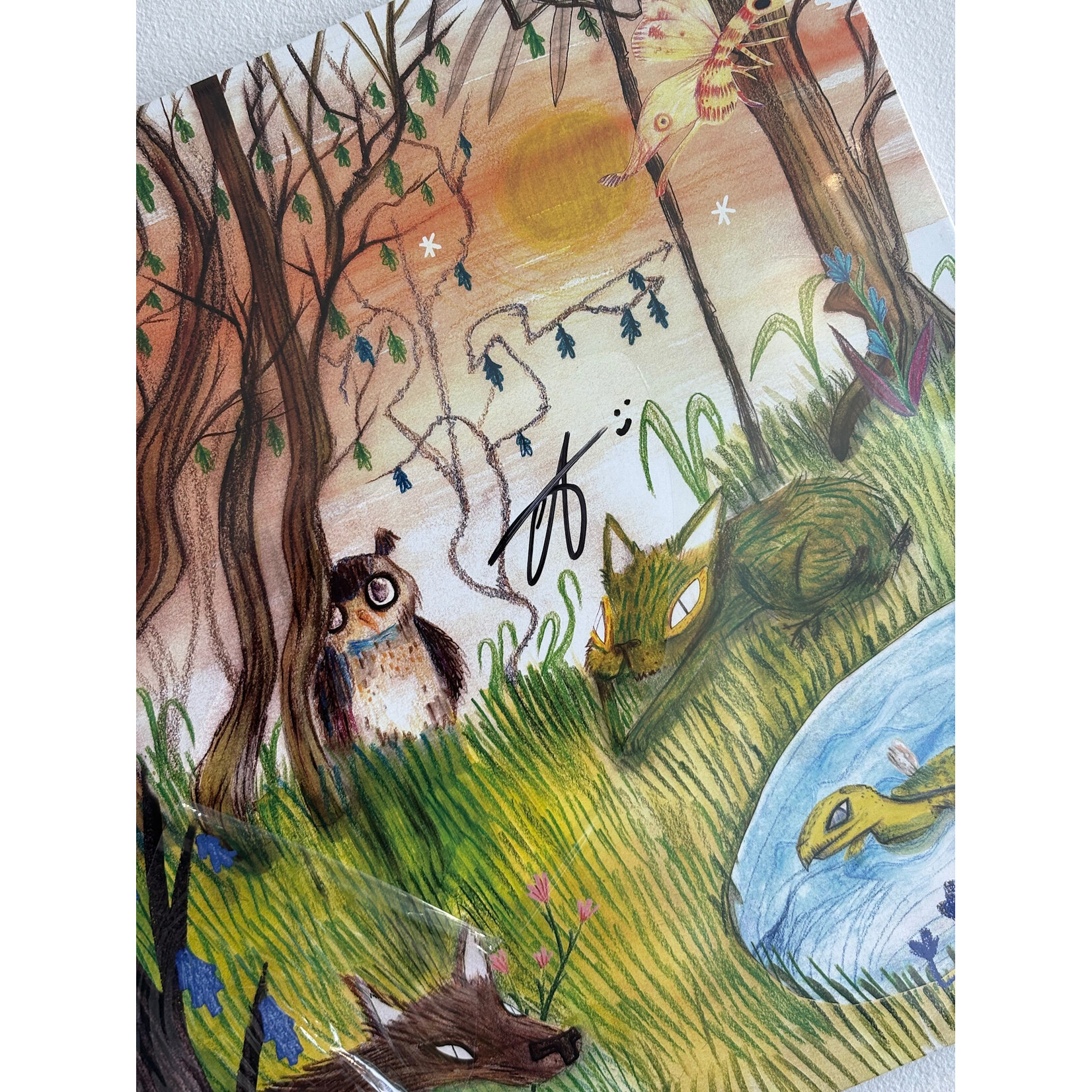 [New Vinyl] Cavetown: Animal Kingdom - SIGNED (Limited Edition Green Swirl Vinyl) [SELF-RELEASED]