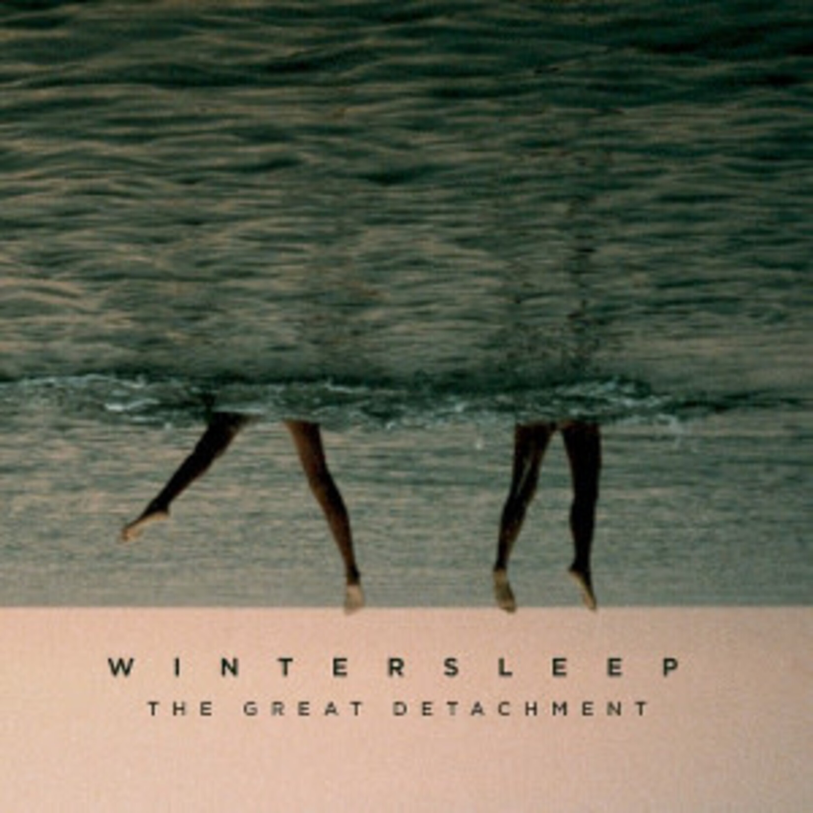 Wintersleep: The Great Detachment [DINE ALONE]