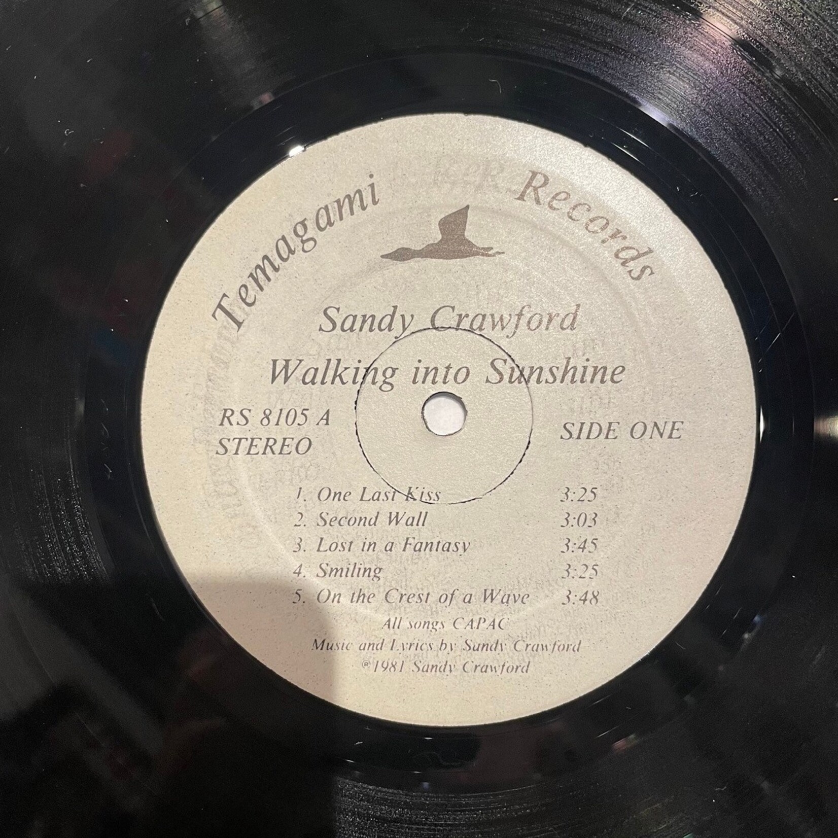 Crawford, Sandy: Walking Into Sunshine (1981, Canada, VG+) [TEMAGAMI]