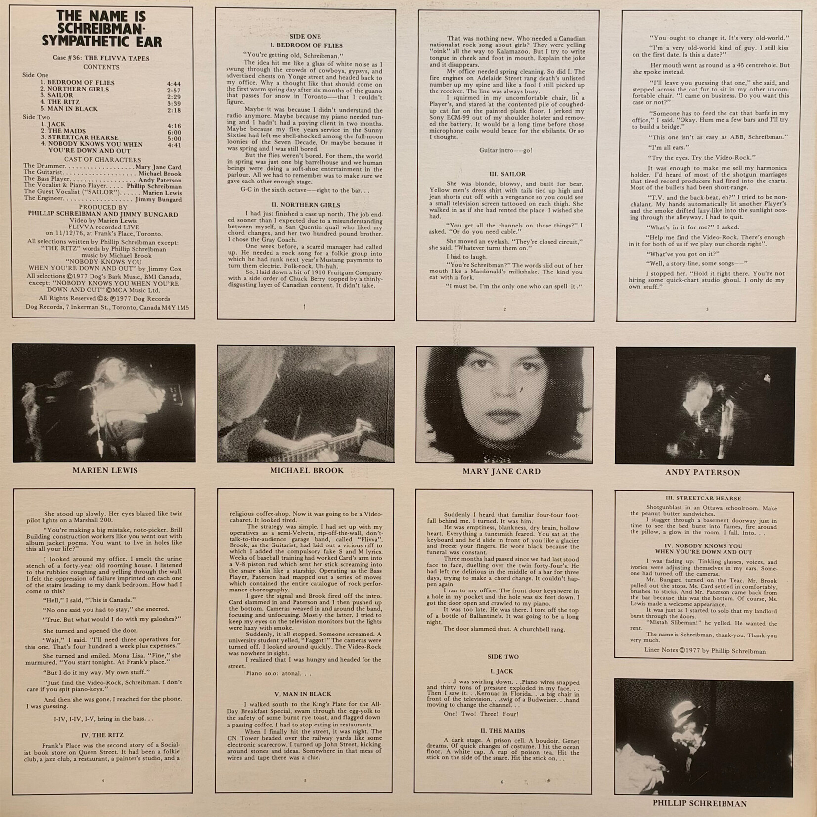 Flivva: The Name Is Schreibman - Sympathetic Ear (1977, Canada, EX) [DOG]