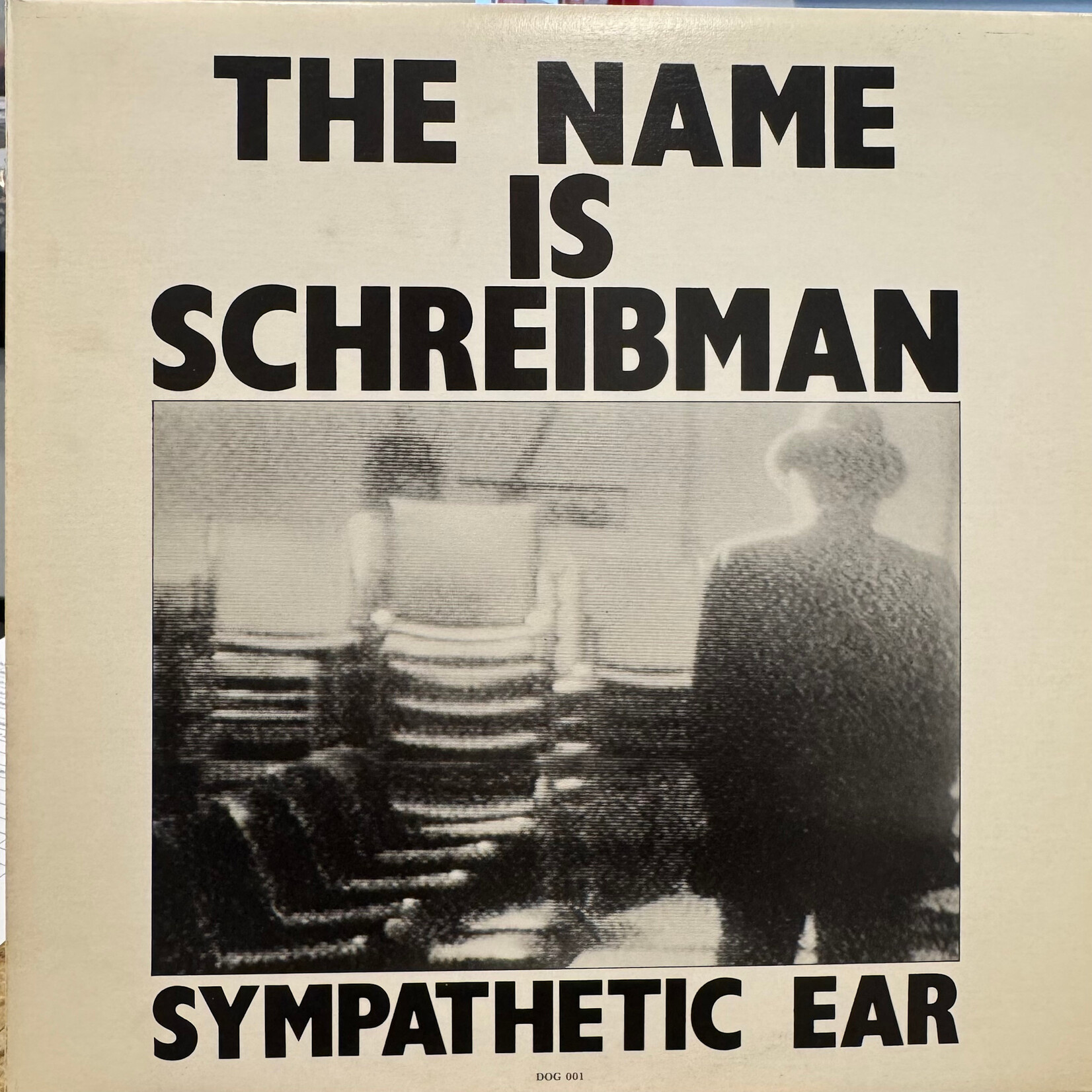 Flivva: The Name Is Schreibman - Sympathetic Ear (1977, Canada, EX) [DOG]