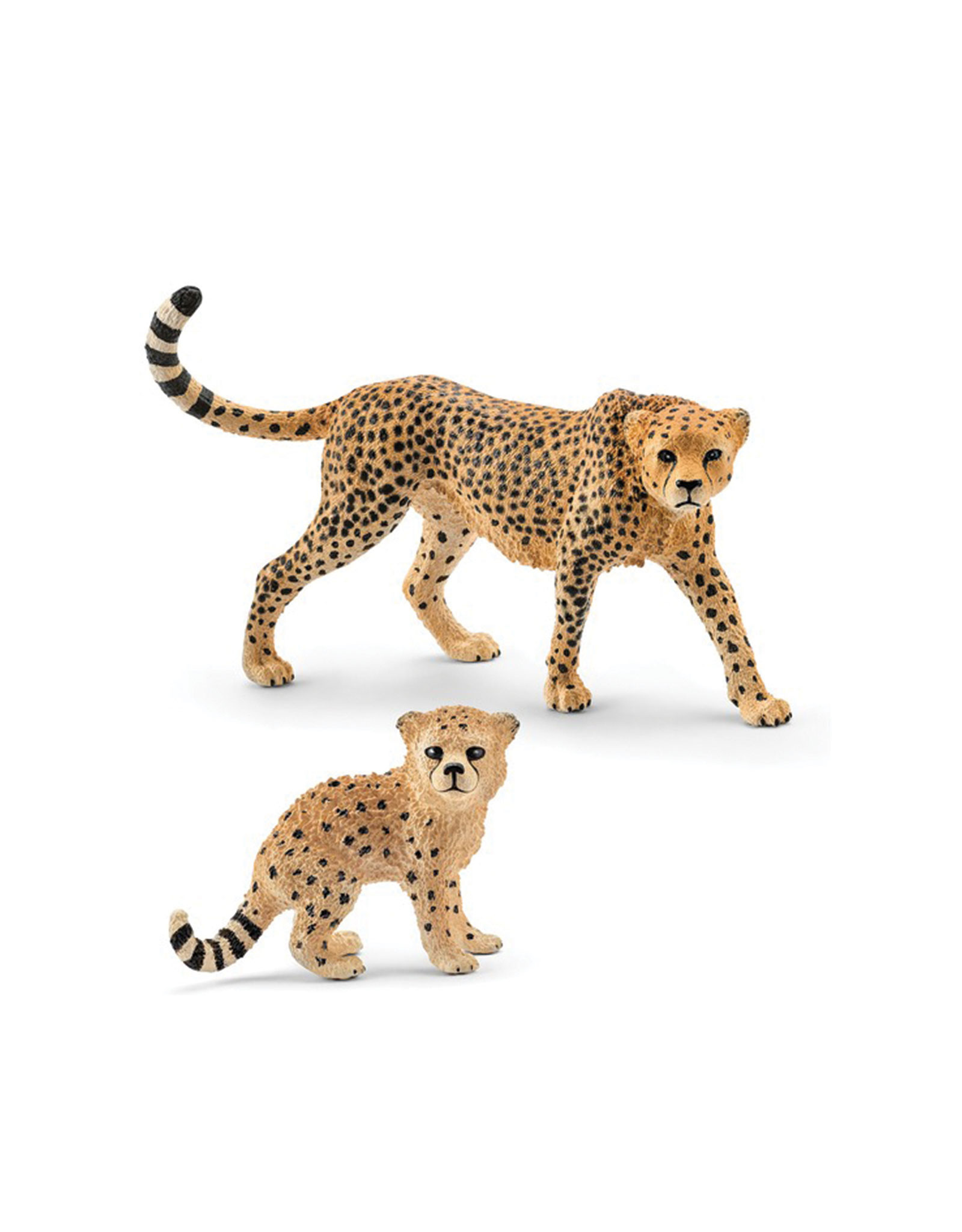 Animal Bebe Guepard Veille Sur Toi Animal Bebe Guepard Veille Sur Toi