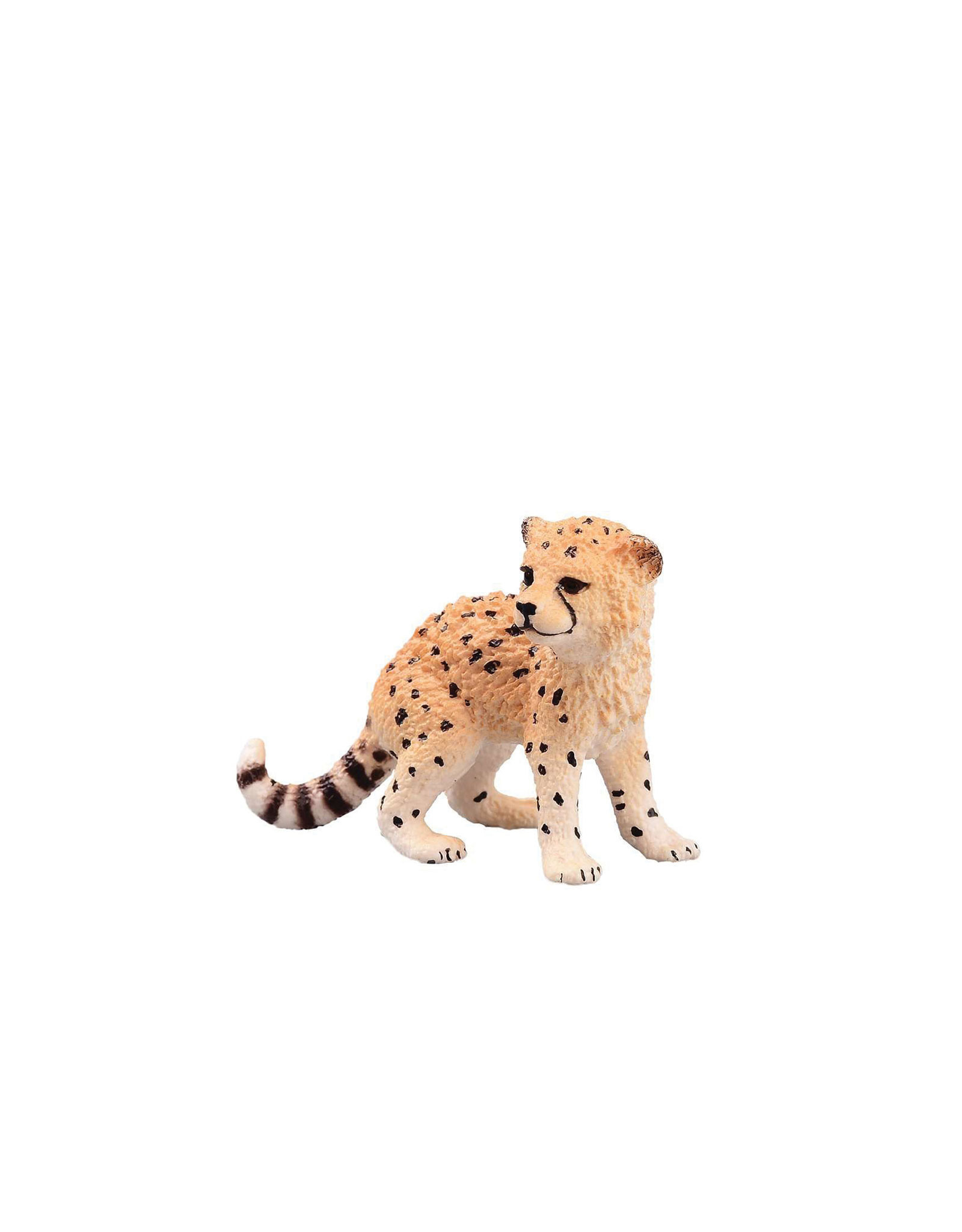 Animal Bebe Guepard Veille Sur Toi Animal Bebe Guepard Veille Sur Toi