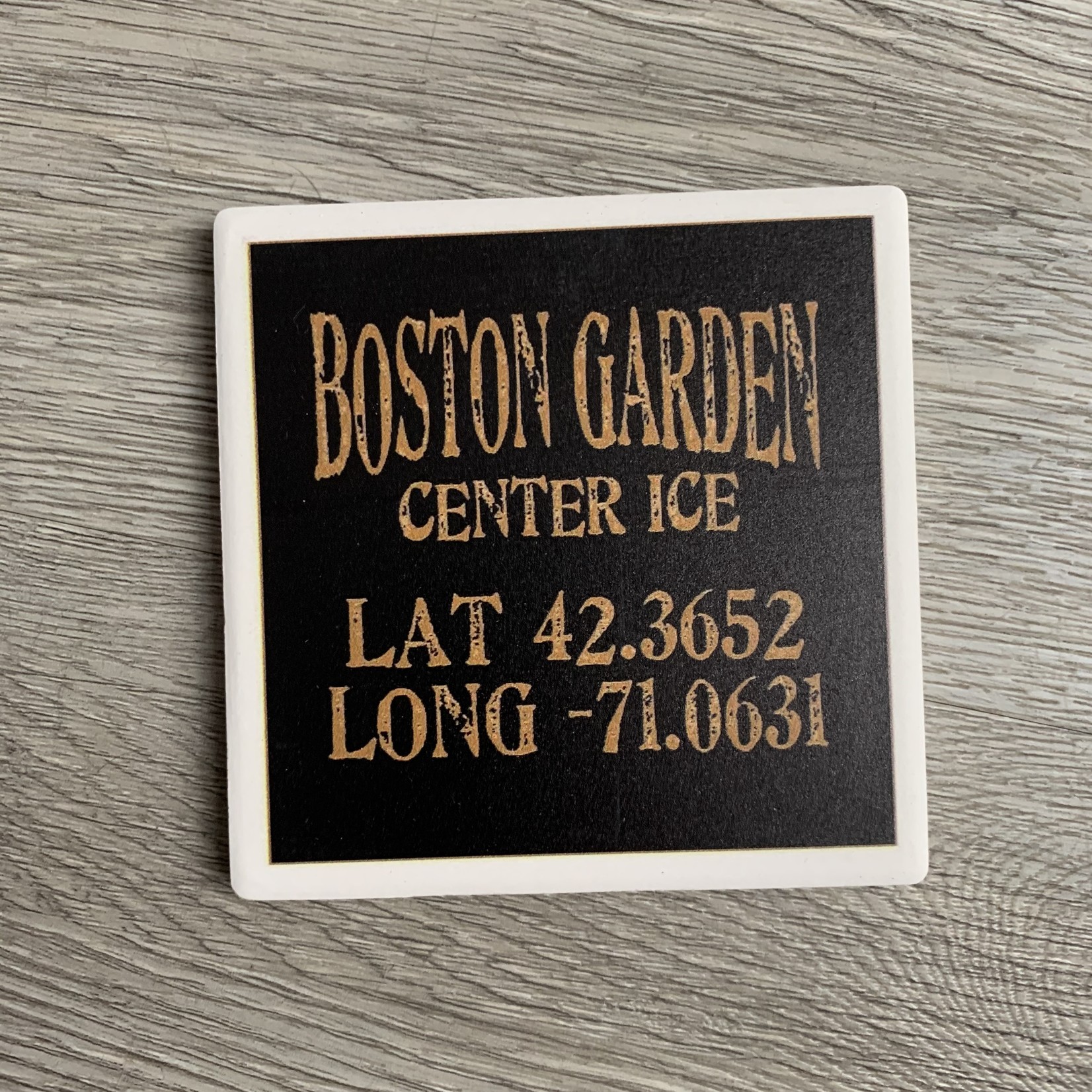 Paint the Town Paint the Town - Boston Garden Center Ice Lat/Long Coaster