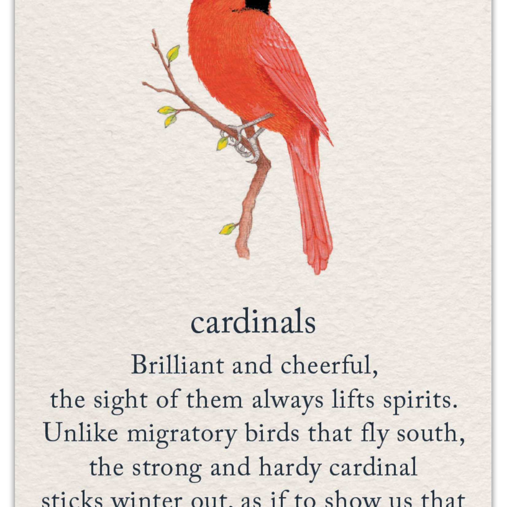 Cardthartic Cardthartic - Cardinal Friendship Card