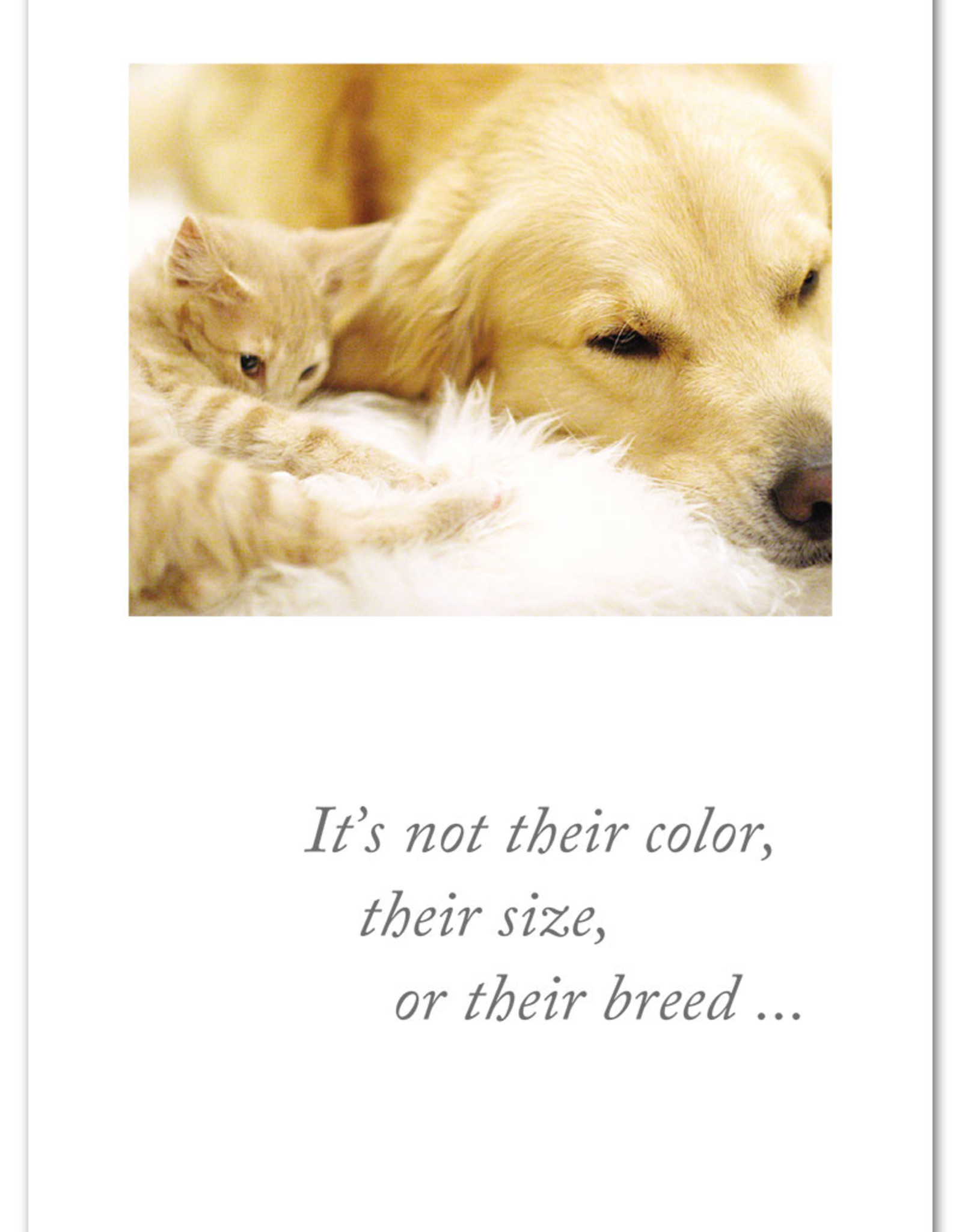 Cardthartic Cardthartic - Curled Cat & Dog Pet Sympathy Card