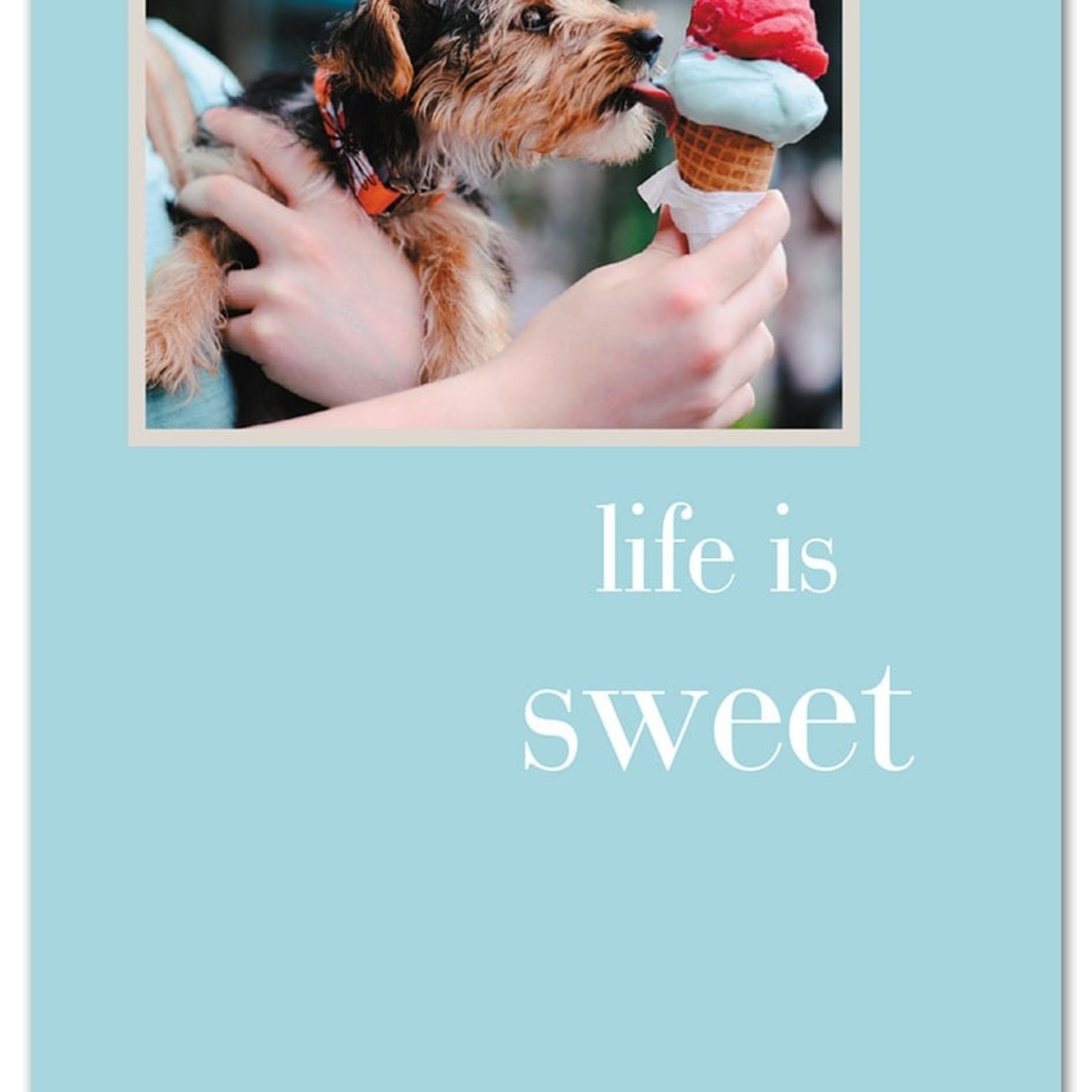 Cardthartic Cardthartic - Life Is Sweet Many Occasions Card