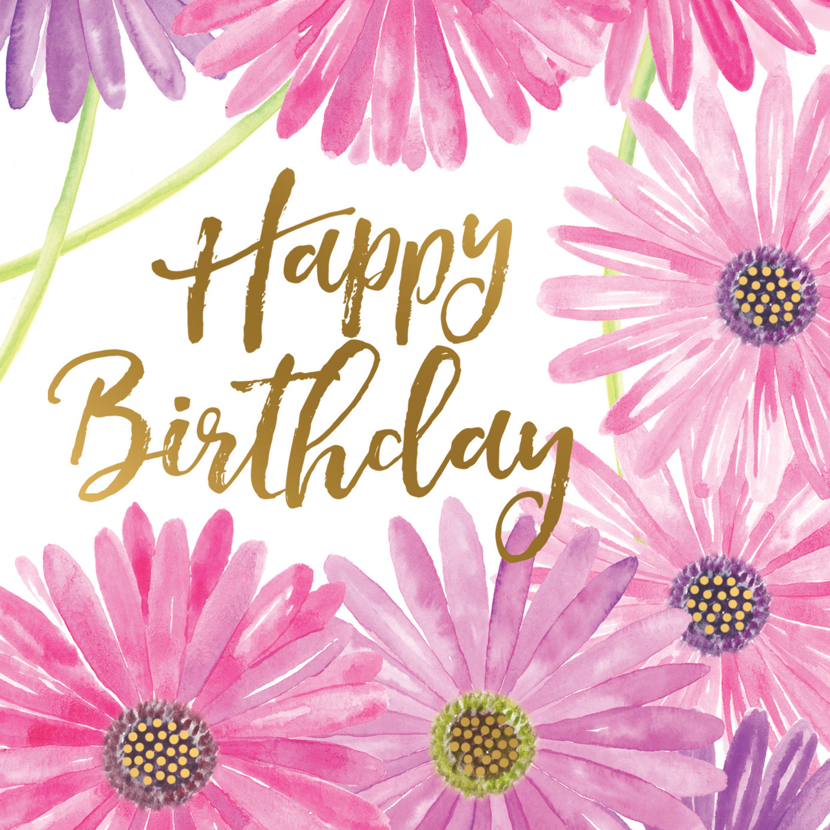 Pictura Pictura - Birthday Card - 61086