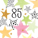 Pictura Pictura - 85th Birthday Card - 60948