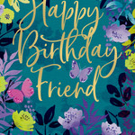 Pictura Pictura - Friend Birthday Card - 60779