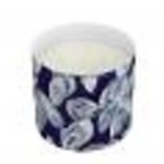 Annapolis Candle - Kim Hovell - Silver Shells 3 Wick Candle