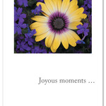 Cardthartic Cardthartic - Joyous Moments Birthday Card