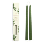 Thymes Thymes - Frasier Fir - 12 in Taper Candle Set