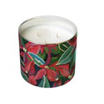 Annapolis Candle Annapolis Candle - 3 Wick Kim Hovell Merry and Bright