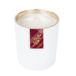 Annapolis Candle Annapolis Candle - Pomander Holiday Boxed Candle