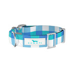 Scout Scout - Dog Collar - Medium - Friend of Dorothy