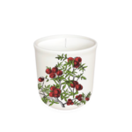 Annapolis Candle Annapolis Candle - Terrace Tomato Boxed Candle