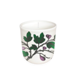 Annapolis Candle Annapolis Candle - Terrace Fig Tree Boxed Candle