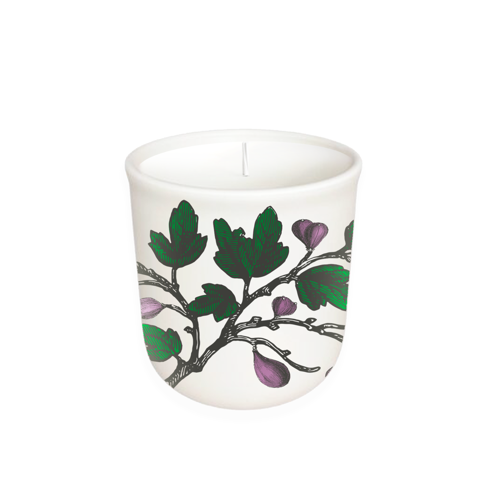 Annapolis Candle Annapolis Candle - Terrace Fig Tree Boxed Candle