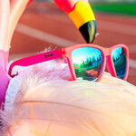 Goodr Goodr - Flamingos on a Booze Cruise Sunglasses