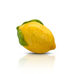 Nora Fleming Nora Fleming - Lemon Mini